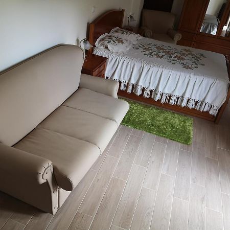Casa Girao - Alojamento Local Termas de São Pedro do Sul Esterno foto